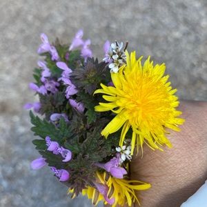 Meet your Posher, Aditi